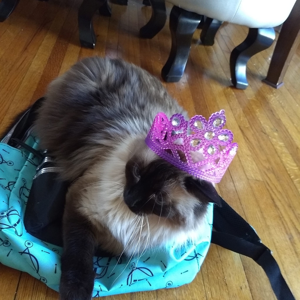 Meet your Posher, Walter